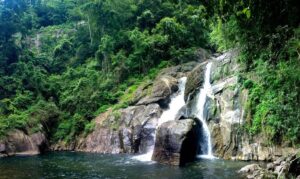 Wayanad Tourism