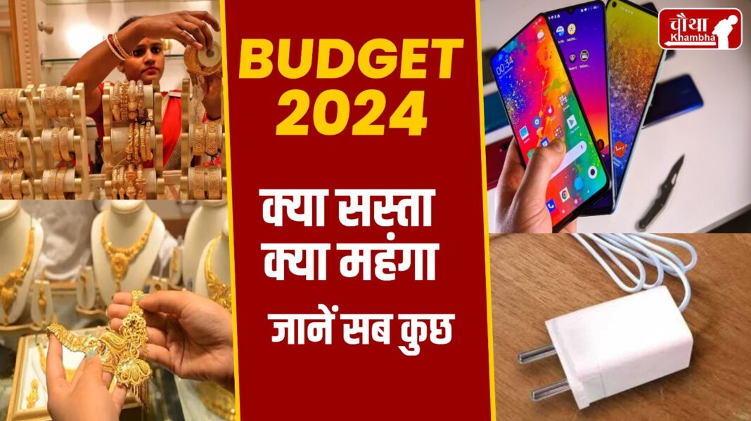 Budget 2024 Cheaper Expensive: