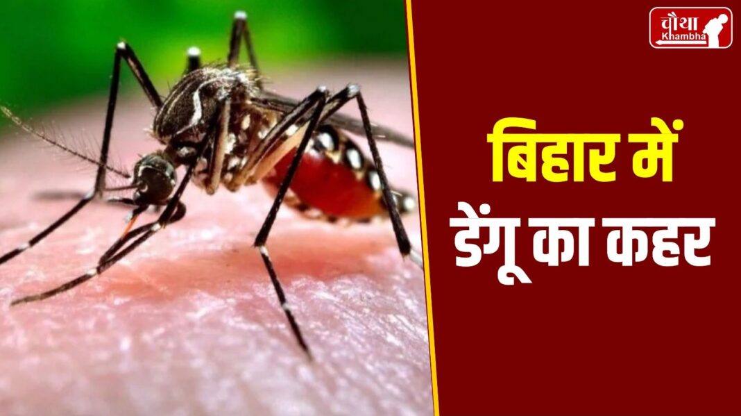 Dengue Fever in Bihar