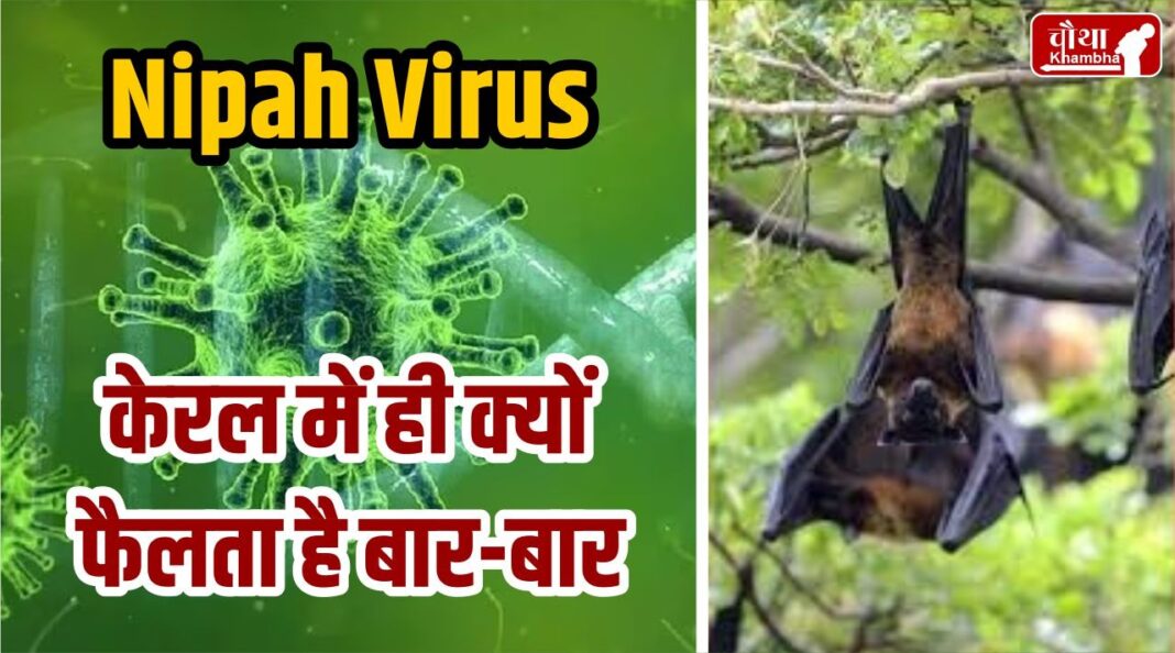 Nipah Virus Infection