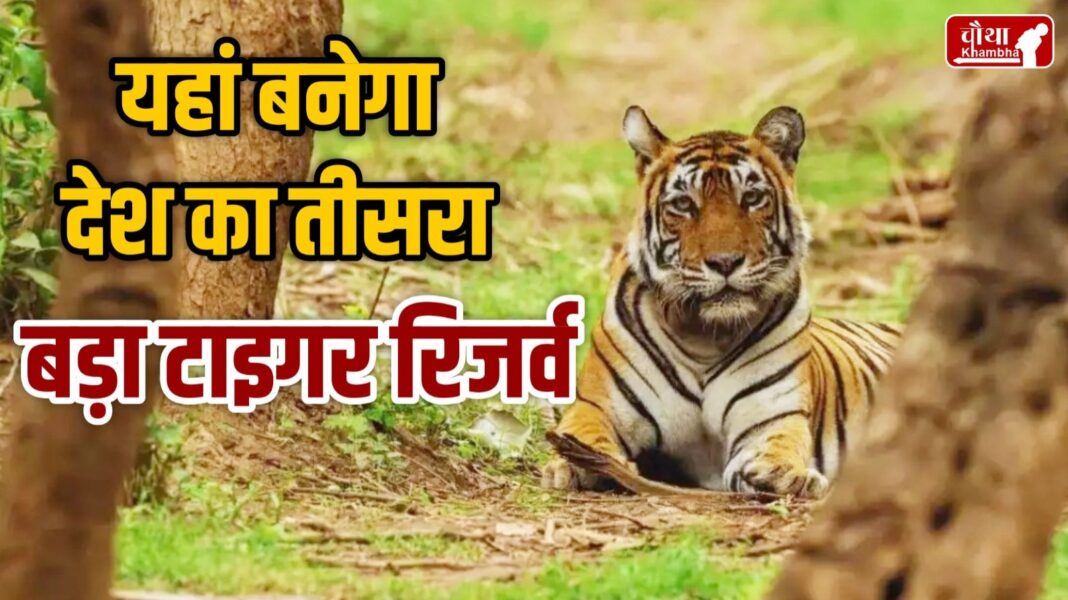 Guru Ghasidas Tamor Pingla Tiger Reserve in Chhattisgarh