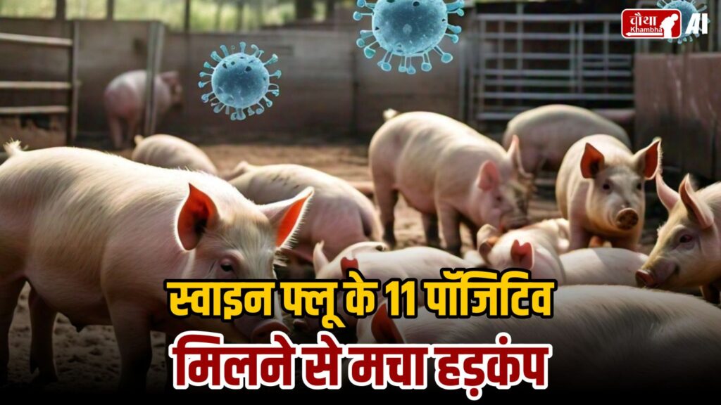 MP Top 5 Evening News: Swine Flu In MP