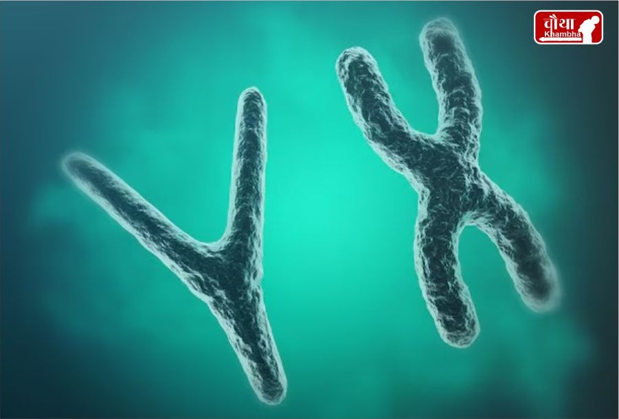 Y Chromosome Shrinking