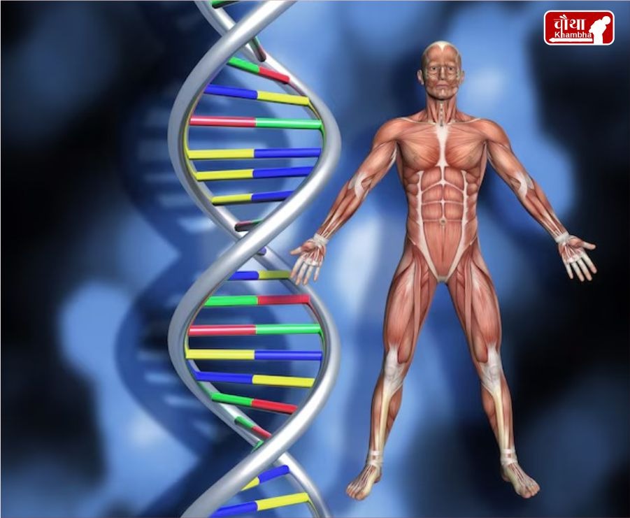 Y Chromosome Shrinking