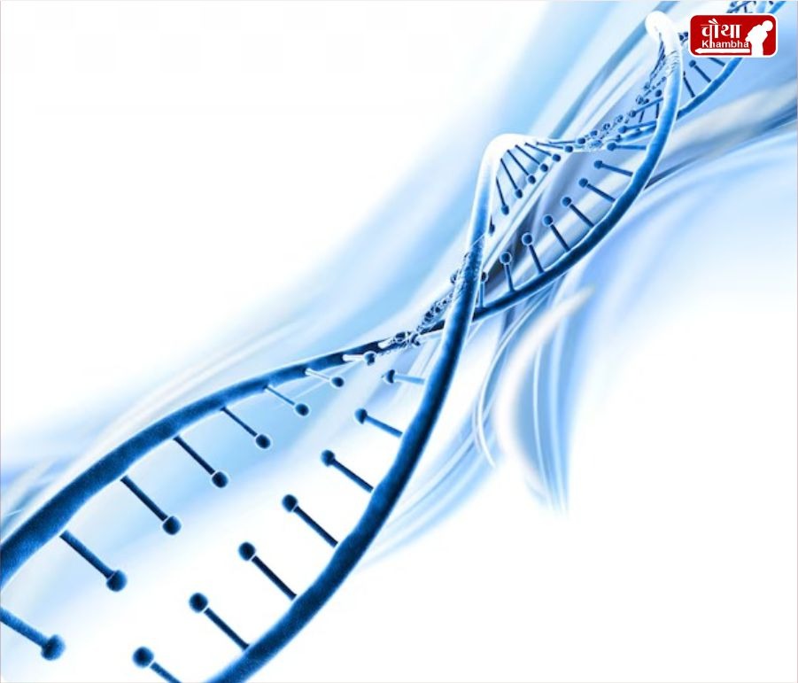 Y Chromosome Shrinking