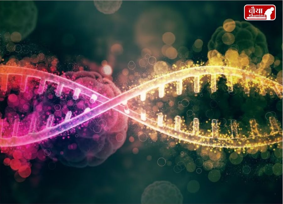 Y Chromosome Shrinking