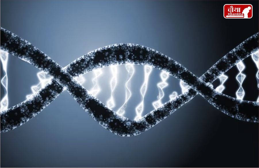 Y Chromosome Shrinking