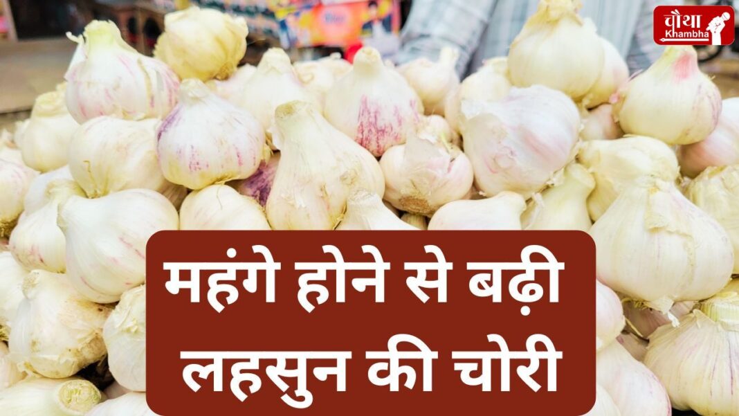 Garlic theft As Prices Rise