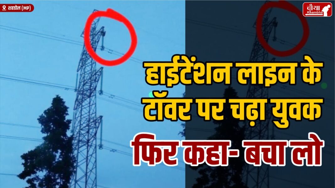 Boy Climbed on High Tension Tower