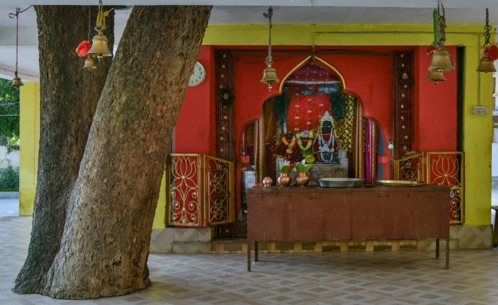 Chandi Mata Temple, Chang Devi Temple, Mungai Mata Temple, bear, bhalu, Chhattisgarh, Navratri,