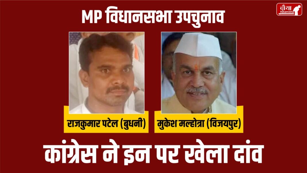 Congress Candidates For MP Bypolls