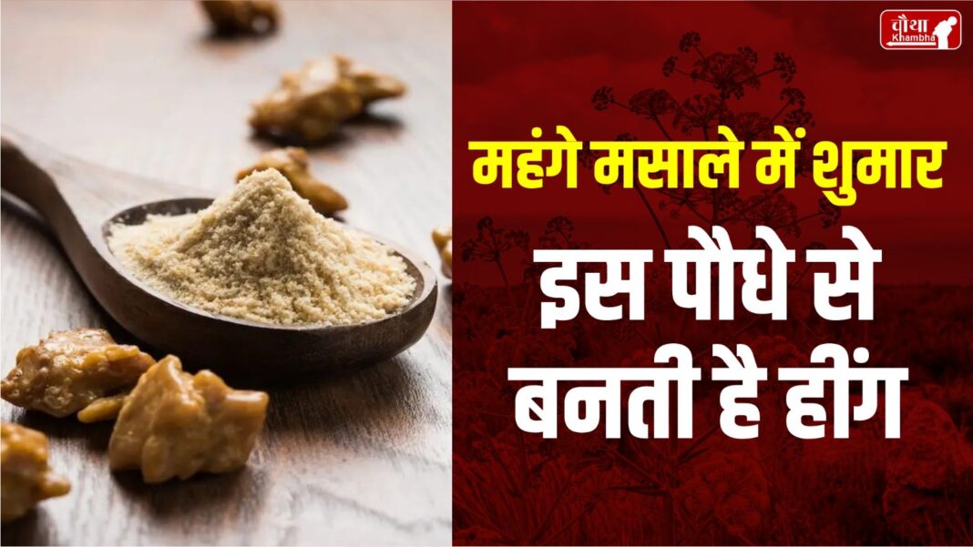 How Is Asafoetida Made