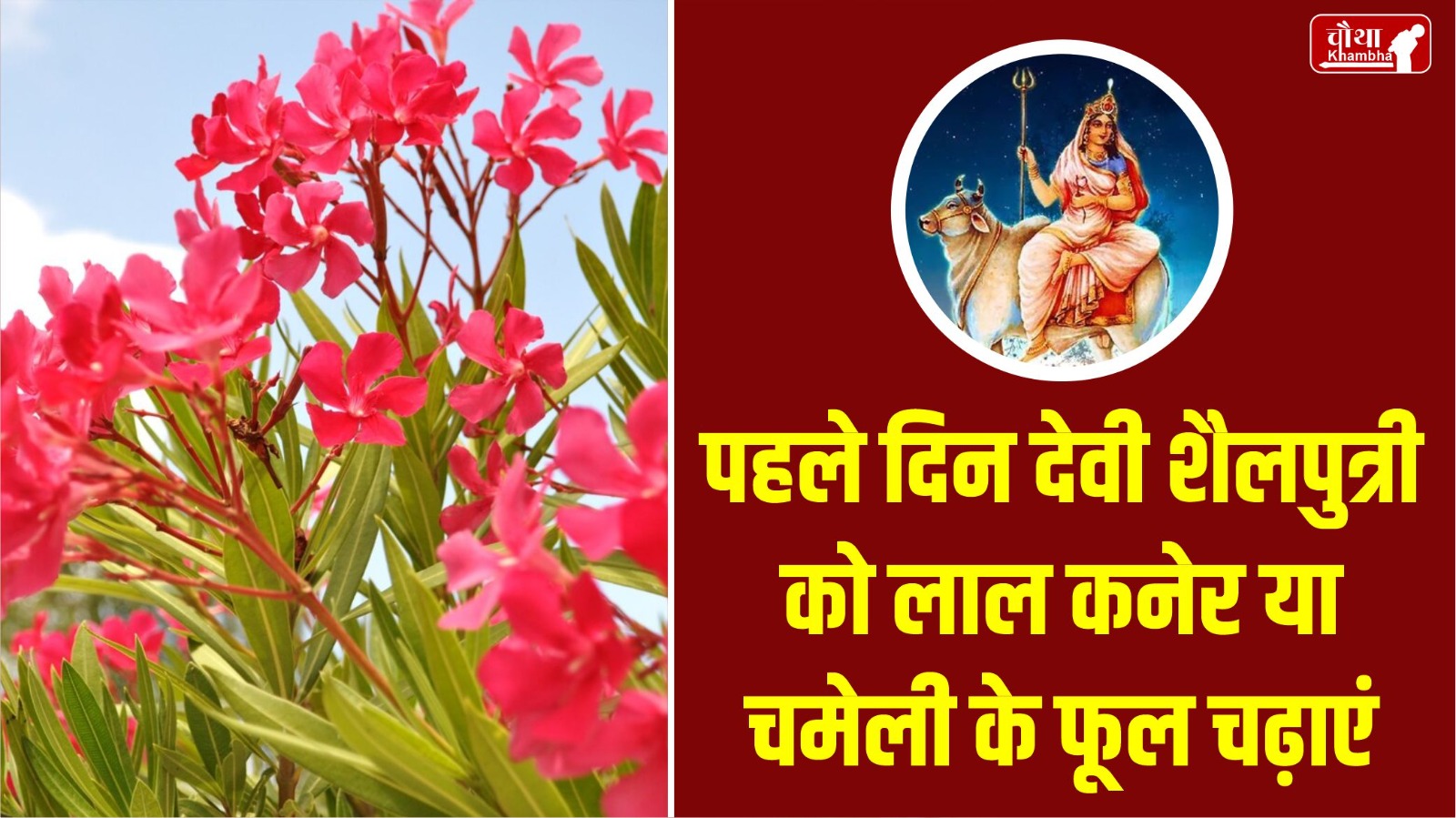 Navratri, Navratri 2024, 9 flowers for maa durga, 9 flowers for Navratri, maa durga Favorite flower,