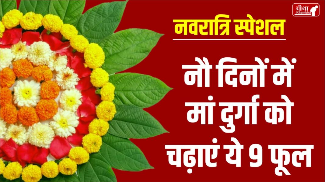 Navratri, Navratri 2024, 9 flowers for maa durga, 9 flowers for Navratri, maa durga Favorite flower,