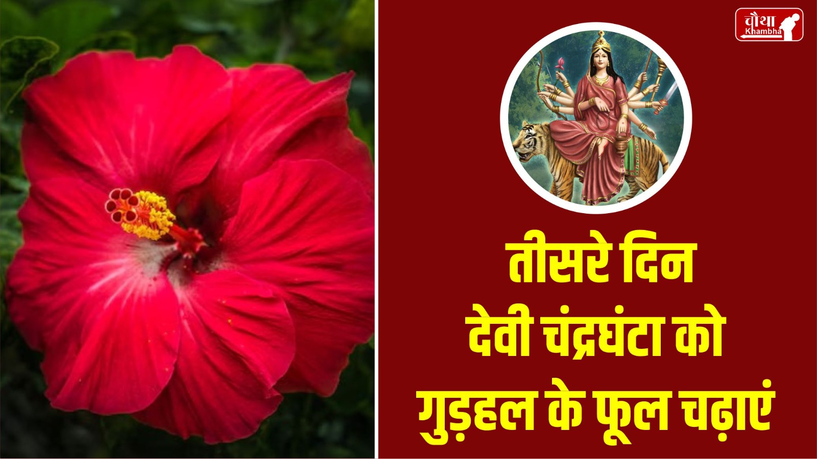 Navratri, Navratri 2024, 9 flowers for maa durga, 9 flowers for Navratri, maa durga Favorite flower,