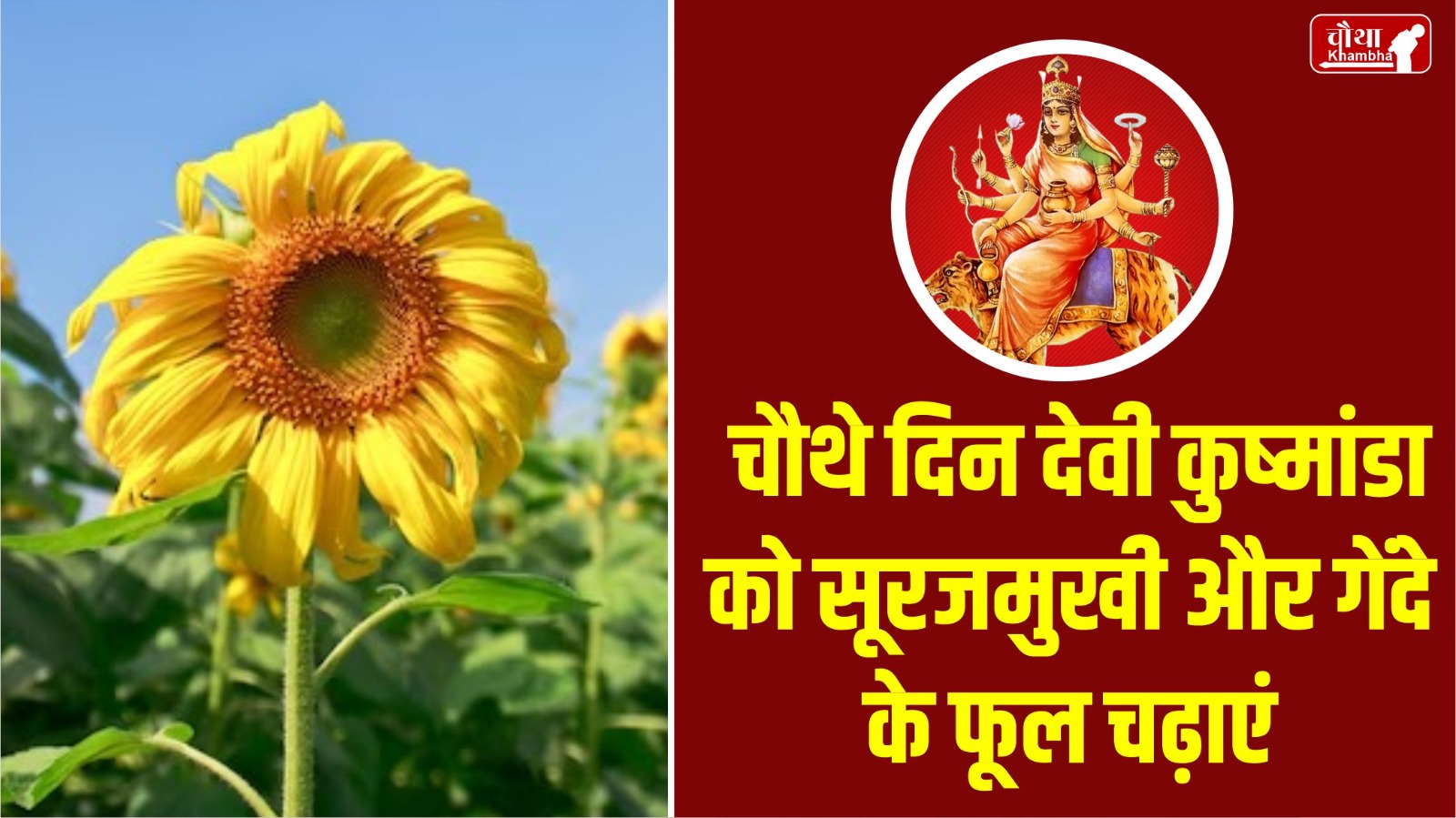 Navratri, Navratri 2024, 9 flowers for maa durga, 9 flowers for Navratri, maa durga Favorite flower,