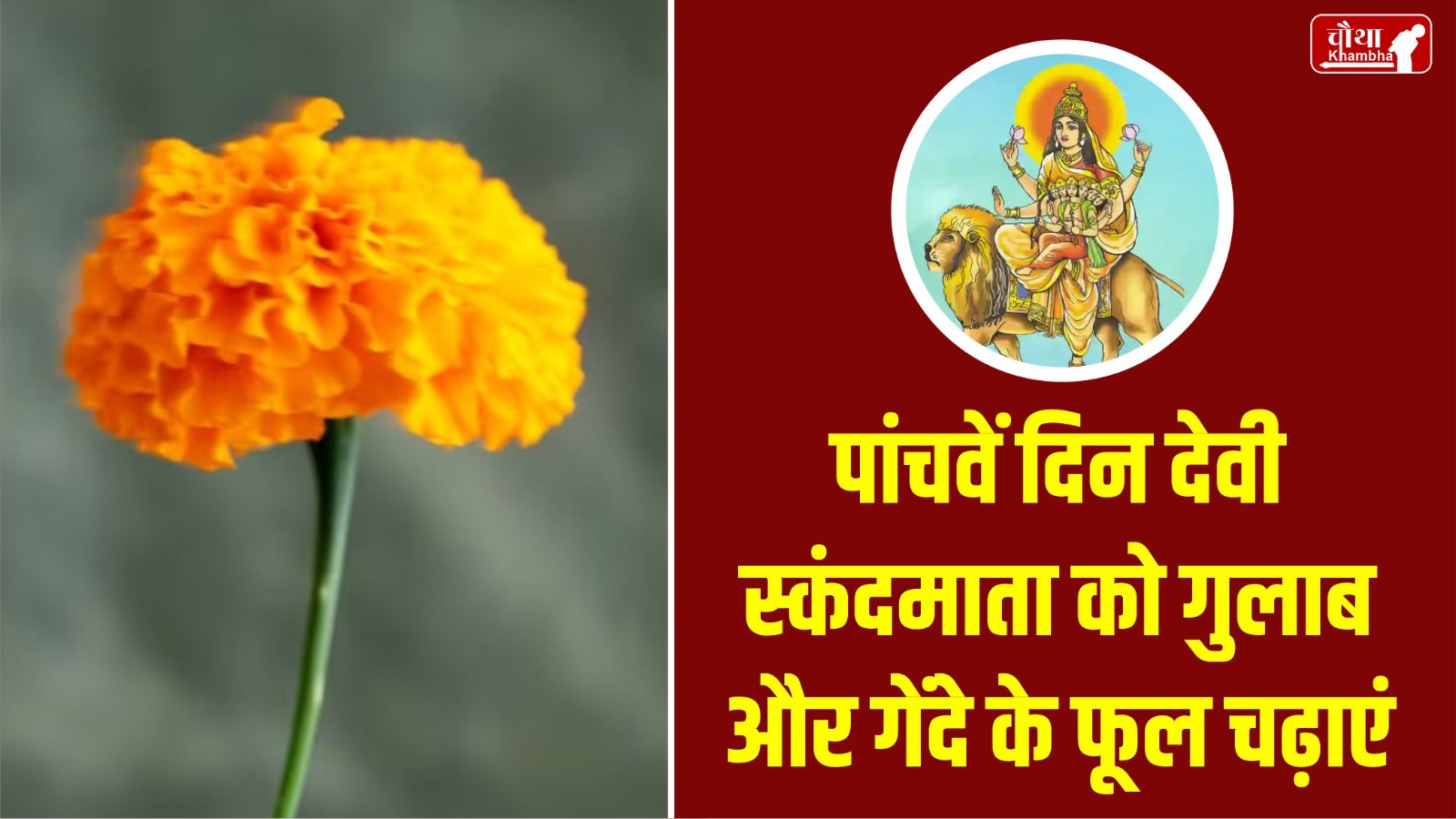 Navratri, Navratri 2024, 9 flowers for maa durga, 9 flowers for Navratri, maa durga Favorite flower,