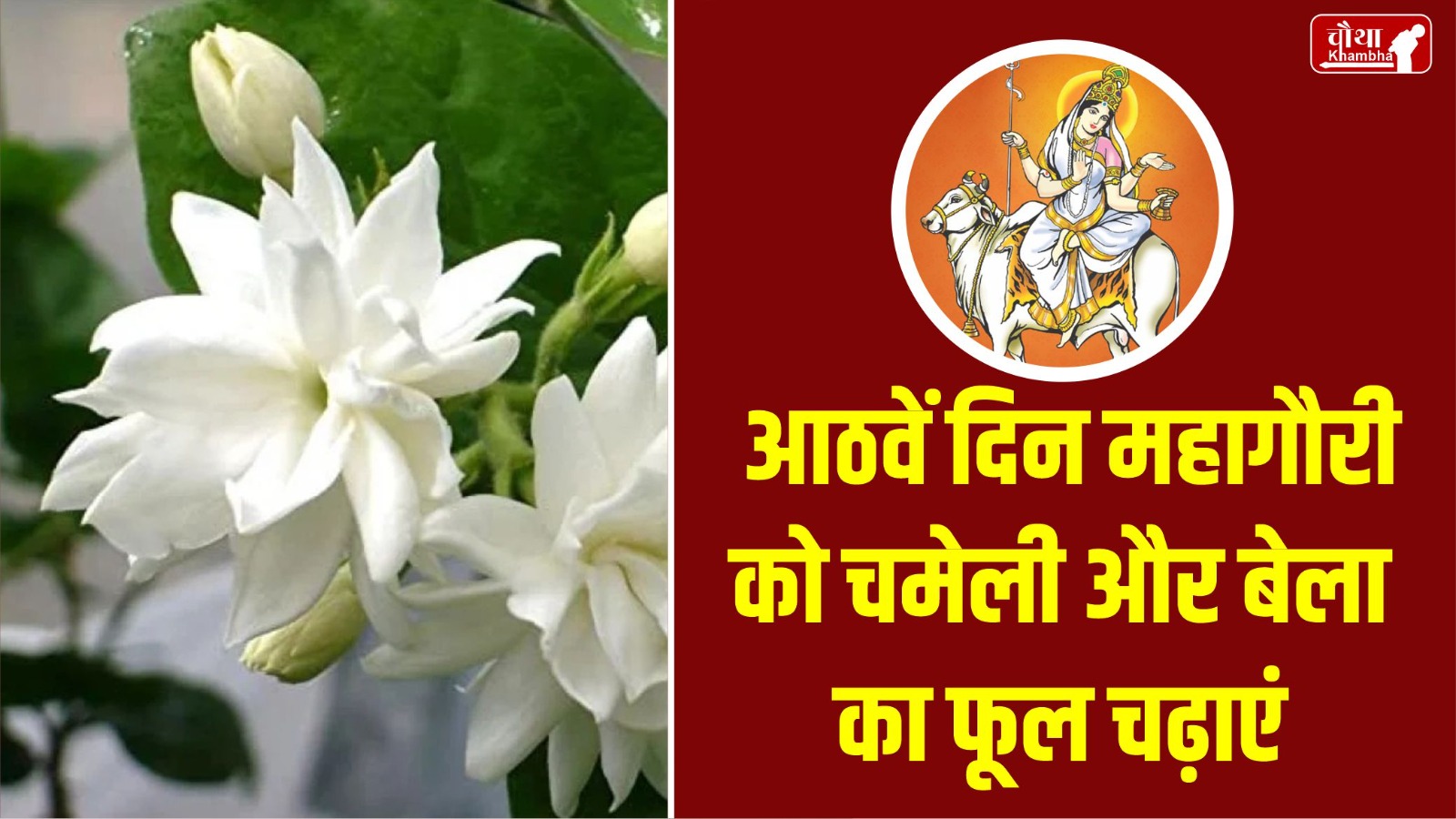 Navratri, Navratri 2024, 9 flowers for maa durga, 9 flowers for Navratri, maa durga Favorite flower,