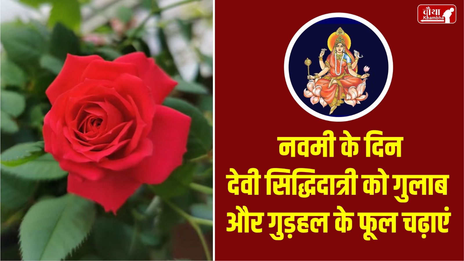 Navratri, Navratri 2024, 9 flowers for maa durga, 9 flowers for Navratri, maa durga Favorite flower,