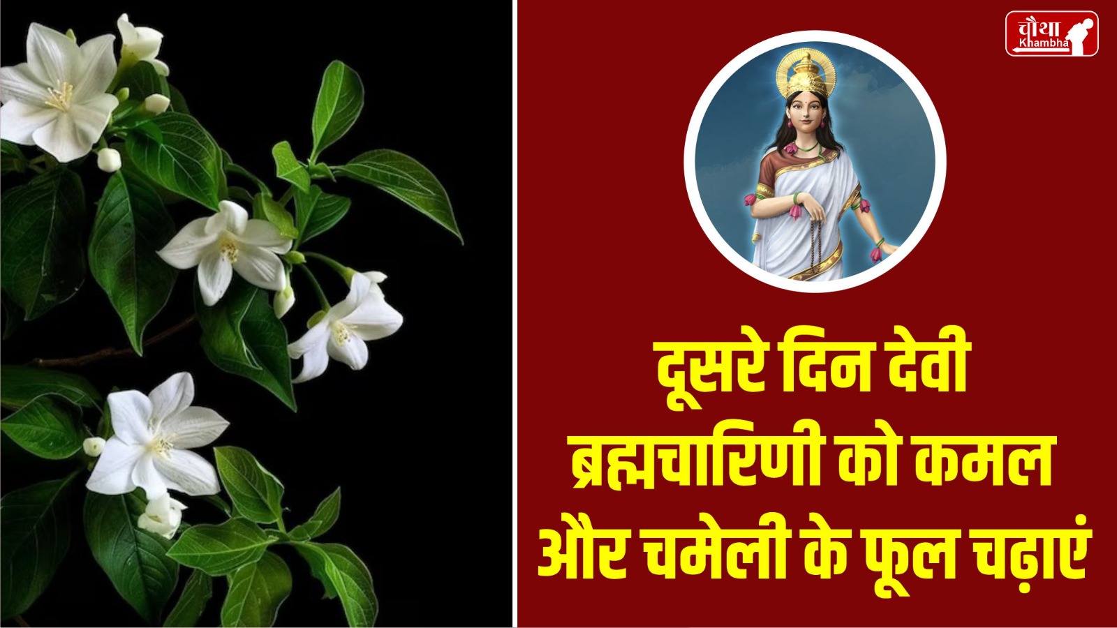 Navratri, Navratri 2024, 9 flowers for maa durga, 9 flowers for Navratri, maa durga Favorite flower,