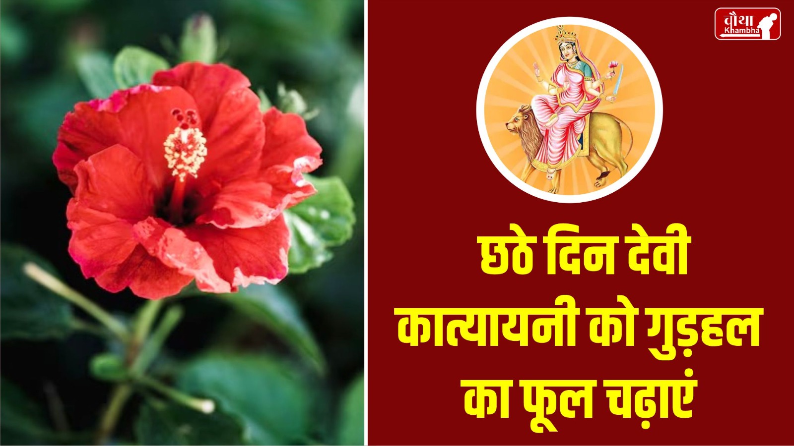 Navratri, Navratri 2024, 9 flowers for maa durga, 9 flowers for Navratri, maa durga Favorite flower,