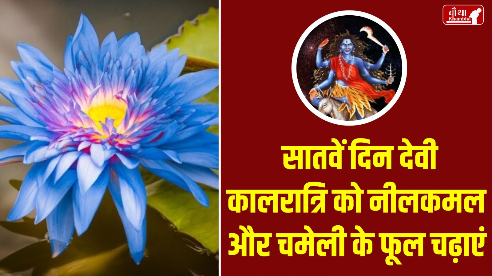 Navratri, Navratri 2024, 9 flowers for maa durga, 9 flowers for Navratri, maa durga Favorite flower,