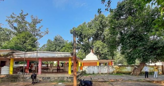 Chandi Mata Temple, Chang Devi Temple, Mungai Mata Temple, bear, bhalu, Chhattisgarh, Navratri,