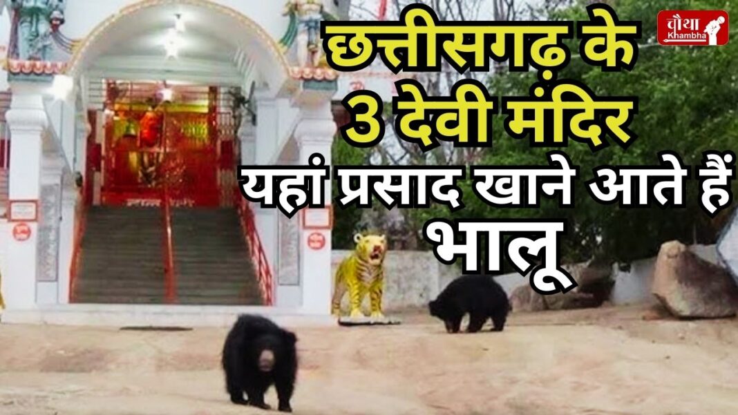 Chandi Mata Temple, Chang Devi Temple, Mungai Mata Temple, bear, bhalu, Chhattisgarh, Navratri,