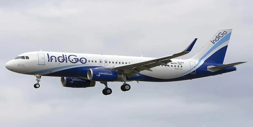 Indigo Plane