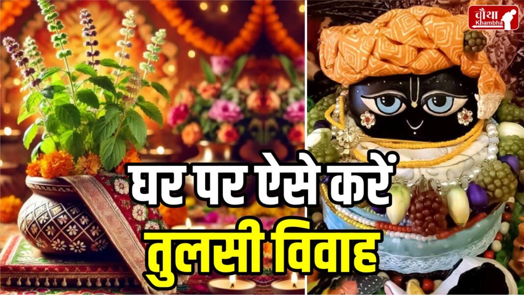 Tulsi vivah, Tulsi Shaligram vivah, Tulsi vivah vidhi, Tulsi vivah ke niyam, ghar par kaise karen Tulsi vivah, Kyon hota hai Tulsi vivah,