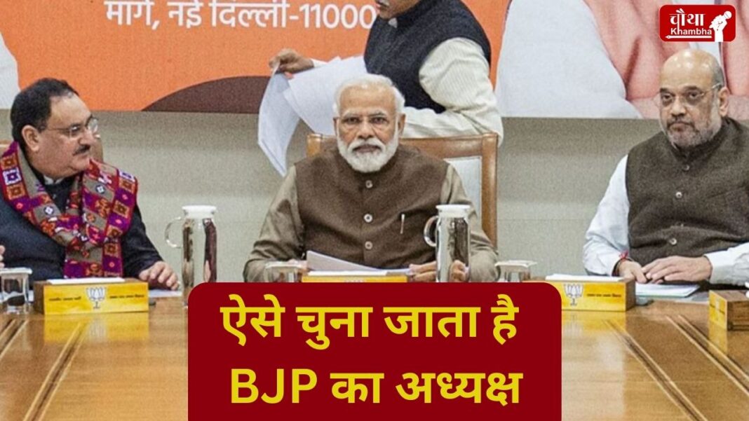 BJP President Election: