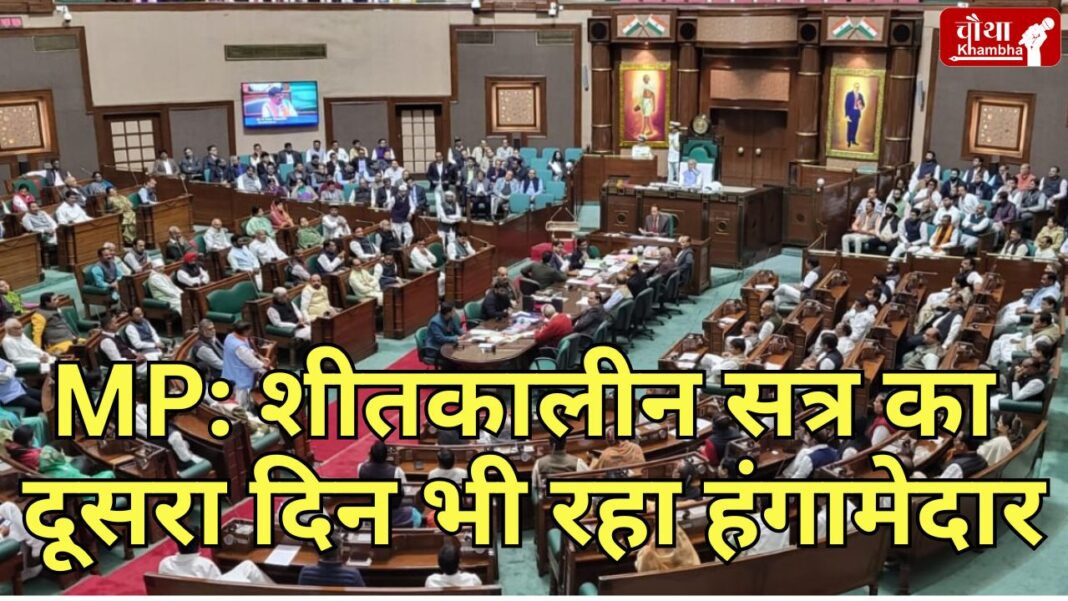 Ruckus In MP Assembly