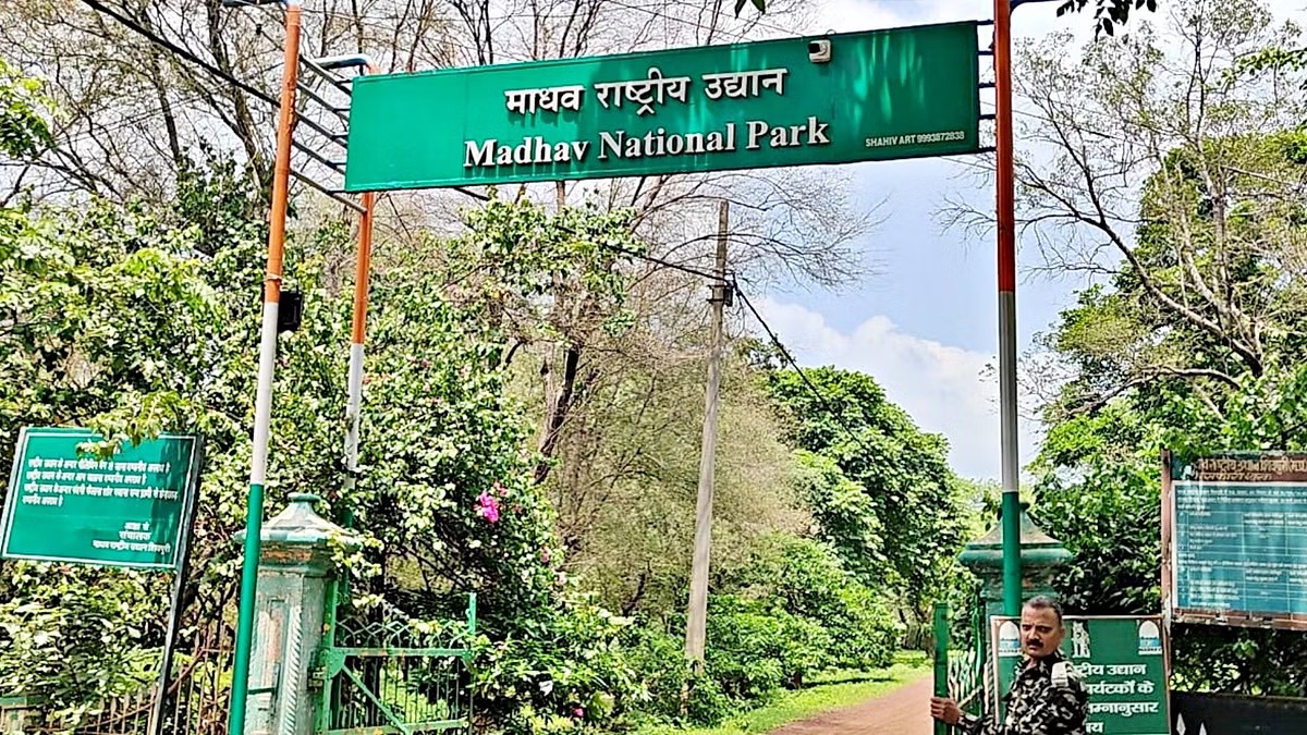 8th Tiger Reserve of MP