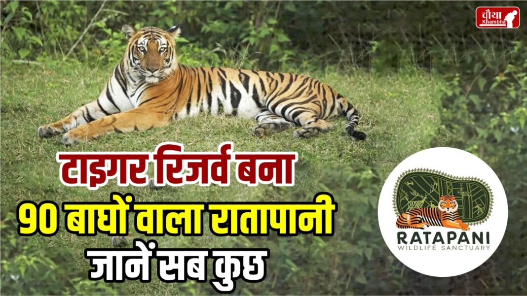 Ratapani, Tiger Reserve, Ratapani Tiger Reserve, Where is Ratapani, 90 tigers in Ratapani, Wild Life Sanctuary