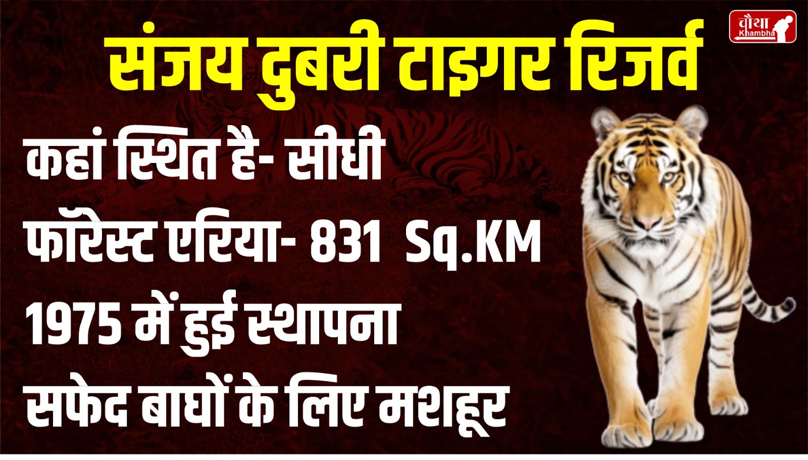 MP Wild Life Sanctuary, Madhya Pradesh Tiger Reserve, MP News, Sanjay Dubri Tiger Reserve