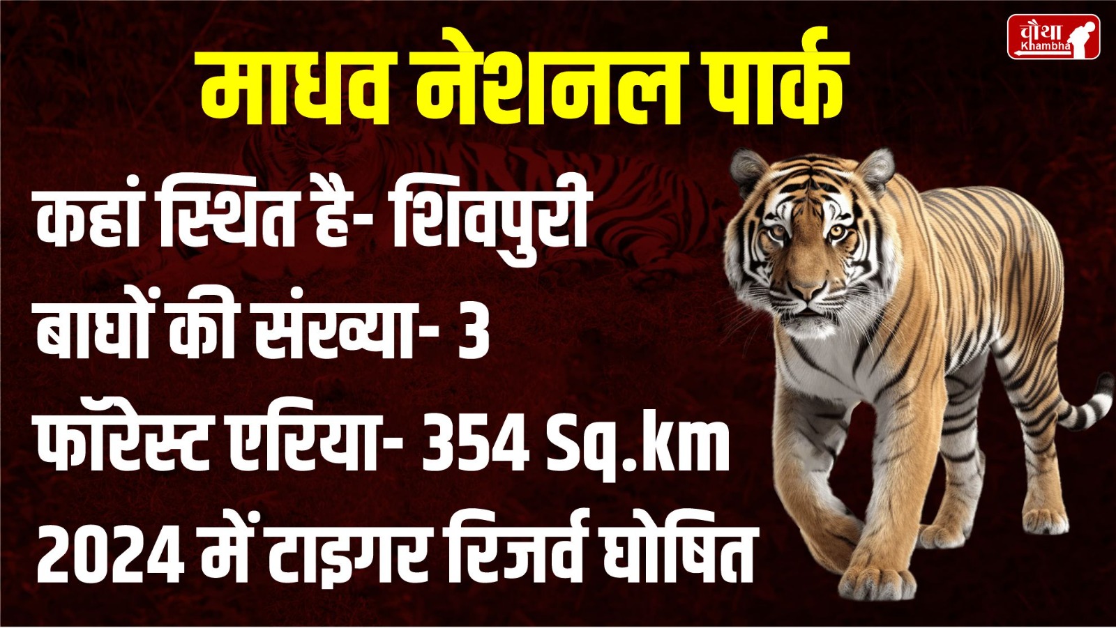 MP Wild Life Sanctuary, Madhya Pradesh Tiger Reserve, MP News, Madhav National Park