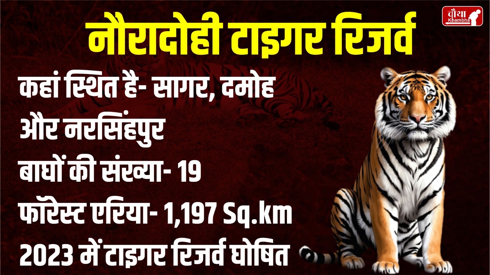 MP Wild Life Sanctuary, Madhya Pradesh Tiger Reserve, MP News, Rani Durgavati Tiger Reserve