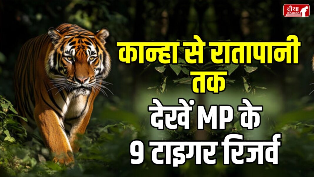 MP Wild Life Sanctuary, Madhya Pradesh Tiger Reserve, MP News, Ratapani Tiger Reserve