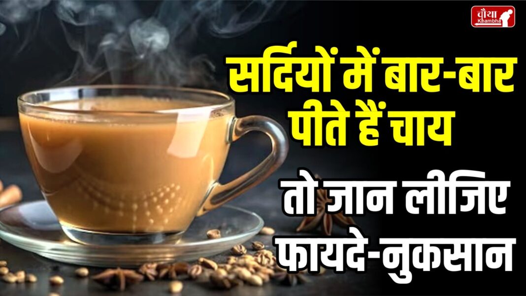 Benefits of drinking tea, disadvantages of drinking tea, benefits of drinking tea in winter,