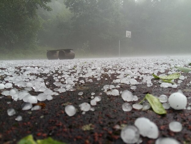 severe cold in MP, cold wave in MP, rain alert in MP, fog in MP, hailstorm in MP, bad weather in MP