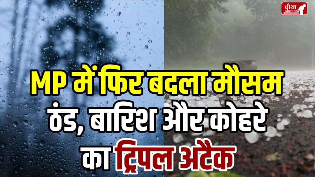 severe cold in MP, cold wave in MP, rain alert in MP, fog in MP, hailstorm in MP, bad weather in MP