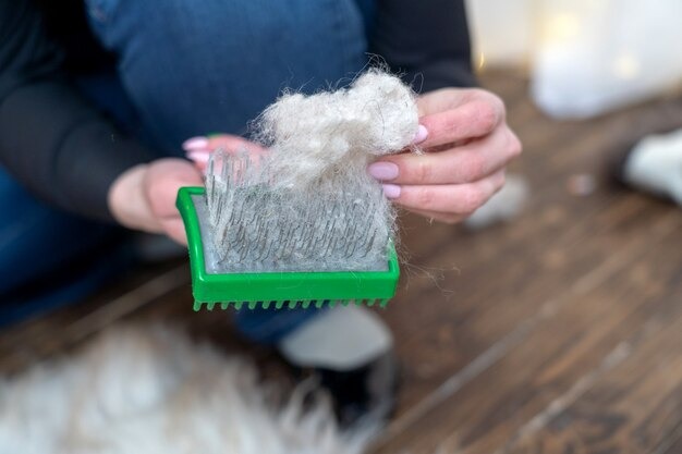 How To Remove Lint, How To Remove Lint From Woolen, Lint Remover, How to use Lint remover, Winter Hacks