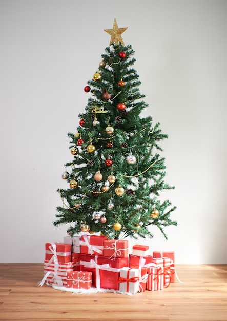 Christmas 2024, Christmas tree, why do we decorate Christmas tree, importance of Christmas tree, how to decorate Christmas tree, tradition of decorating Christmas tree, Christmas Eve, Happy Christmas, Merry Christmas, Christmas decoration tips, Christmas story, religion news, lifestyle tips, Hindi news, 