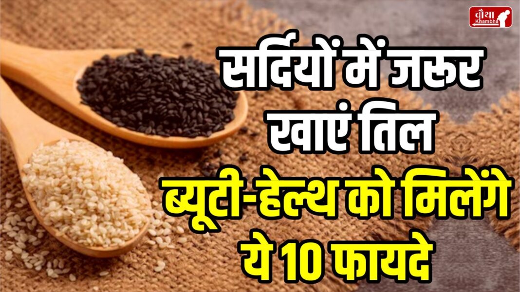 Eat sesame in winter, sesame, benefits of sesame, disadvantages of sesame, side effects of sesame, sesame health benefits,