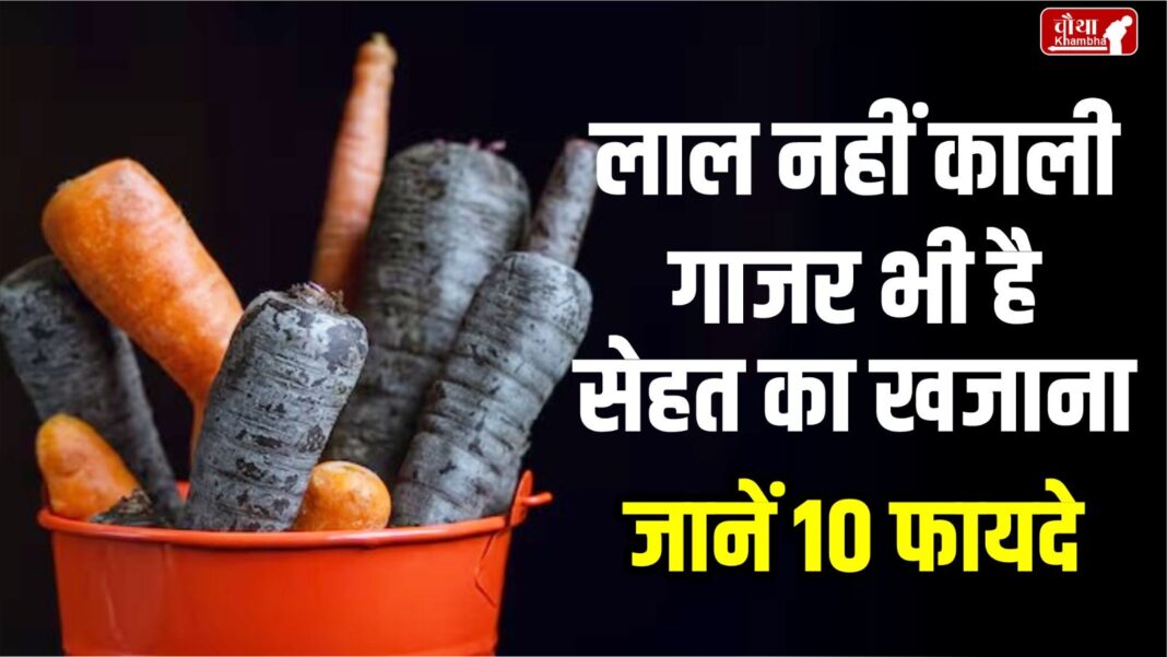 Black carrots, how to eat black carrots, benefits of black carrots, black carrot health benefits,