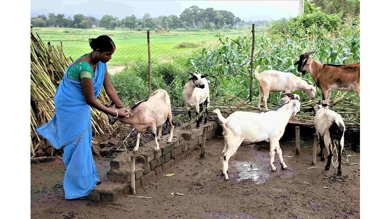 Pashu Sakhi Yojana