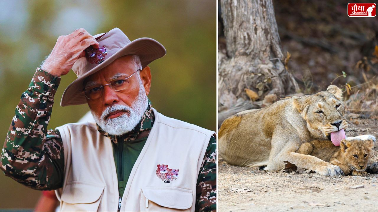 Gir National Park, Jungle Safari, Gir, PM Modi, Narendra Modi, Narendra Modi Jungle Safari,