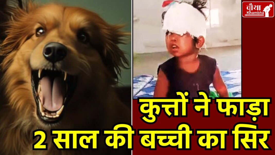 Dogs tore the head of the girl, dogs attack on the girl, dog attack, terror of dogs,