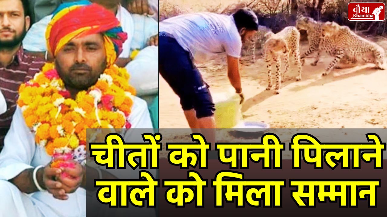 Kuno National Park, Cheetah in MP, Satyanarayan gurjar, Cheetah Drink Water, MP Forest Department,