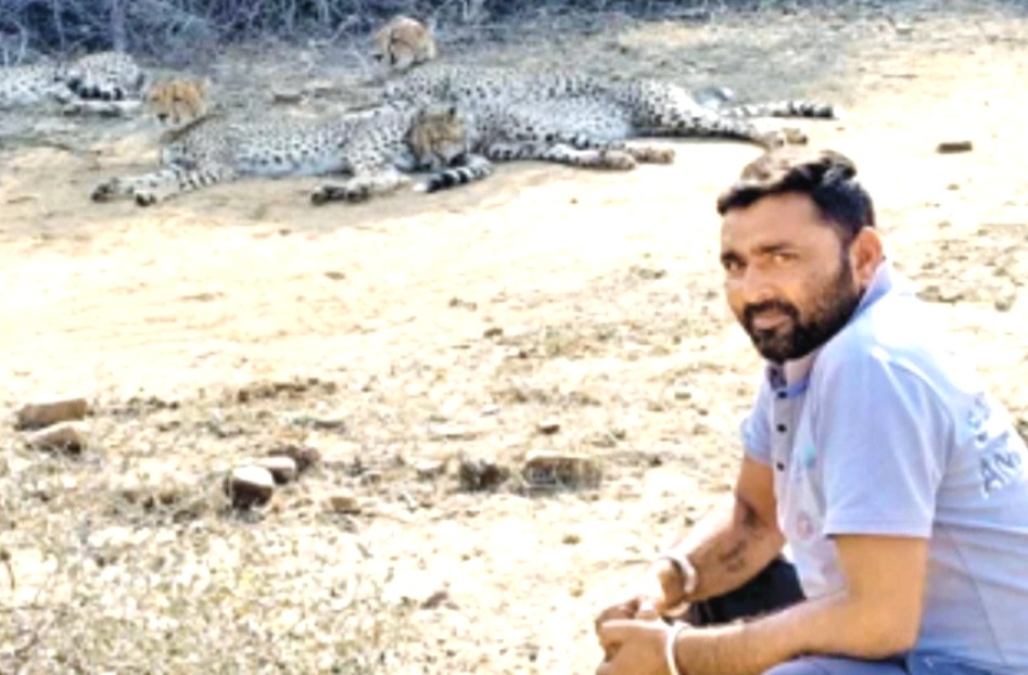 Gujjar community, Cheetahs in MP, driver satyanarayan, water to Cheetahs, Cheetah in MP